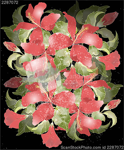 Image of Greeting card with hibiscus. Illustration hibiscus.