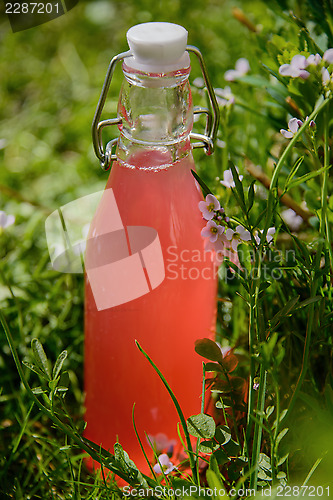 Image of Rhubarb juice