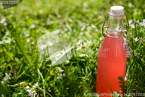 Image of Rhubarb juice