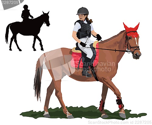 Image of Brown young horse and lady