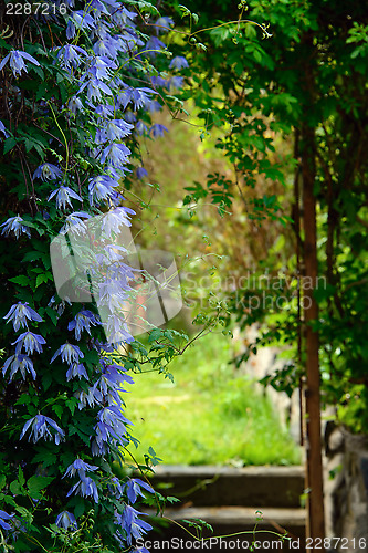 Image of Garden portal with flowers