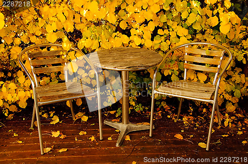 Image of Garden furniture in autumn