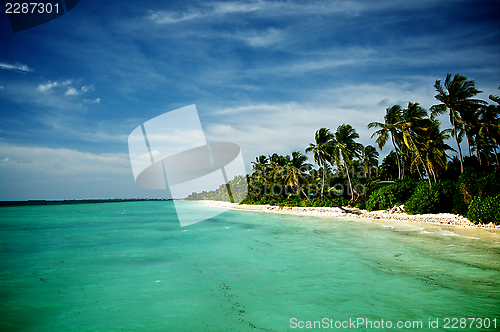 Image of Ocean Coast Line