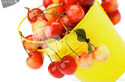 Image of Sweet Cherries