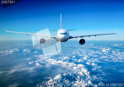 Image of Passenger Airliner in the sky