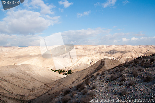 Image of Hiking in judean desert