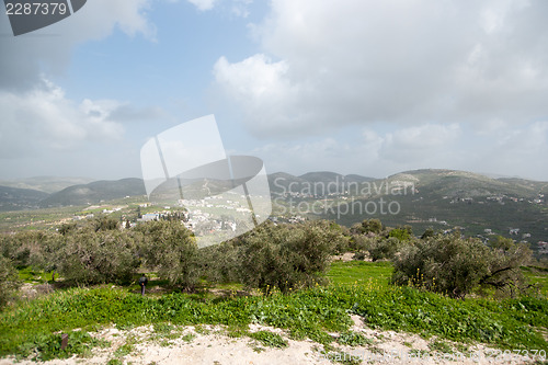 Image of Sebastia archeology ancient ruins