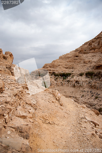 Image of Judean desert