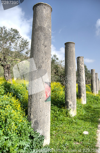 Image of Sebastia archeology ancient ruins