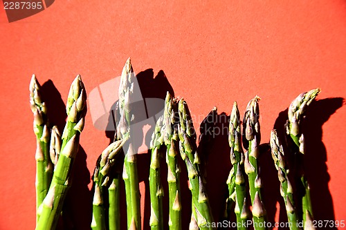 Image of fresh green asparagus