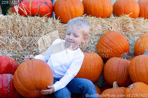 Image of child at pumpkin patch
