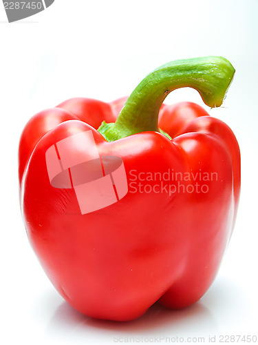Image of Red pepper
