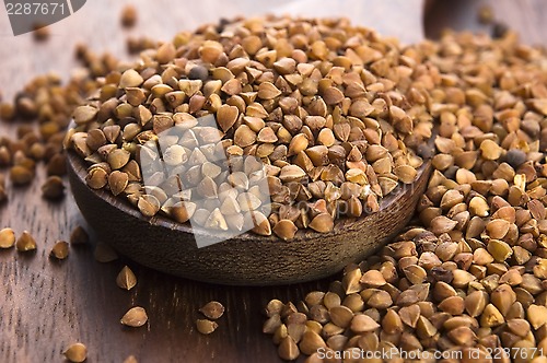 Image of Buckwheat seeds on wooden spoon in closeup 