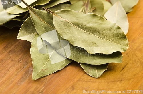 Image of bay leafs