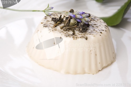 Image of sencha panna cotta