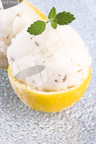 Image of lemon sorbet with lavender in cups of lemon