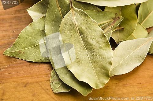Image of bay leafs