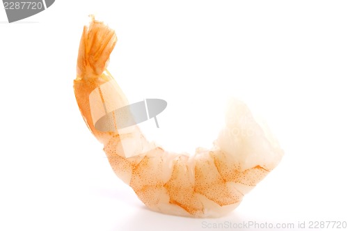 Image of tiger shrimps isolated on white