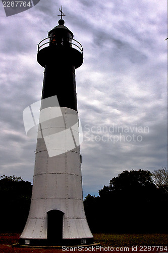 Image of lighthouse  hill bush  