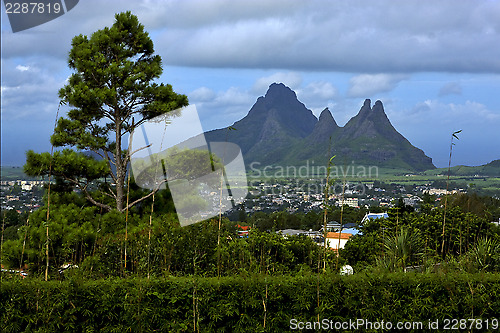 Image of cloudy mountain plant  