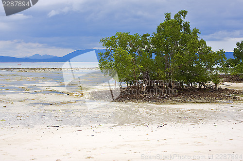 Image of nosy be    sand lagoon 