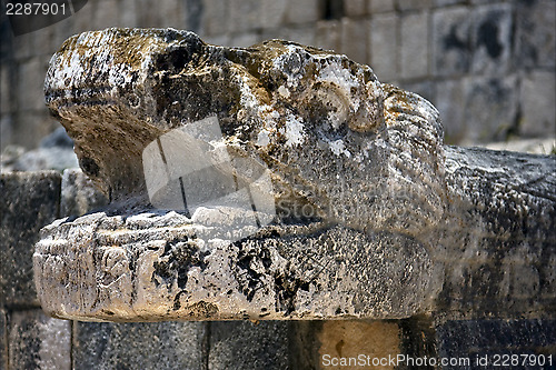 Image of skull snake  mexico   abstract