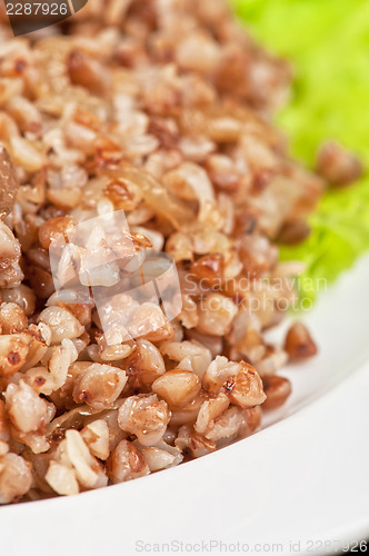 Image of buckwheat