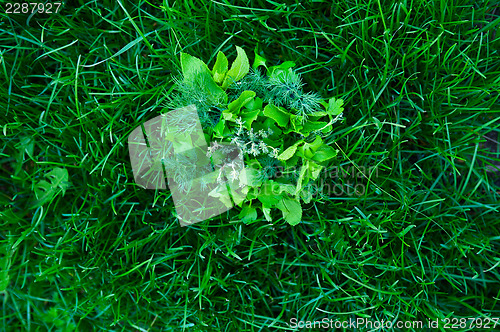 Image of food greens