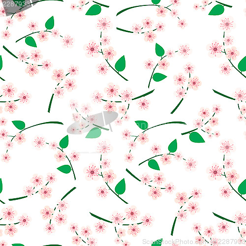 Image of Pink flowers