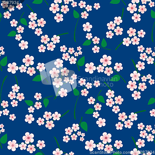 Image of Pink flowers