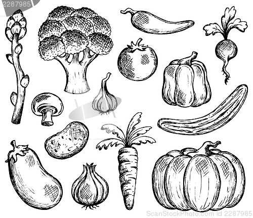 Image of Vegetable theme collection 2