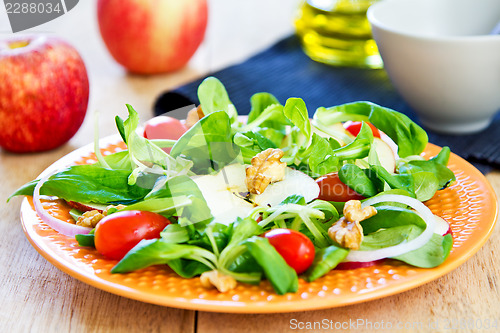 Image of Mâche with Apple and Walnut salad