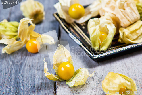 Image of Cape Gooseberry 