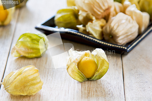 Image of Cape Gooseberry 