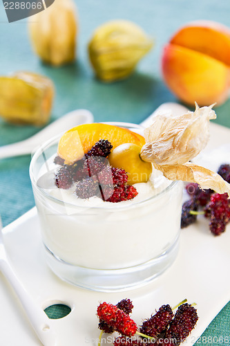 Image of Peach with Mulberry and Gooseberry yogurt