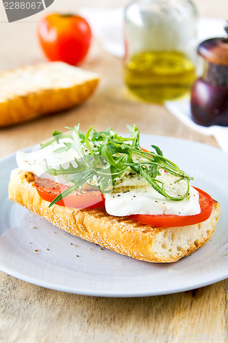 Image of Mozzarella with rocket sandwich