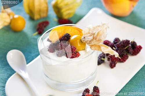 Image of Peach with Mulberry and Gooseberry yogurt