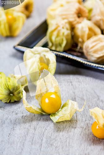 Image of Cape Gooseberry 