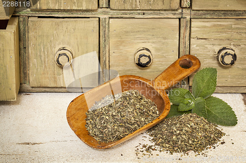 Image of peppermint herbal tea