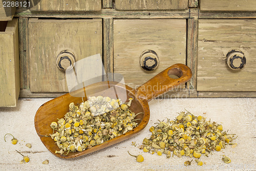 Image of organic chamomile herbal tea