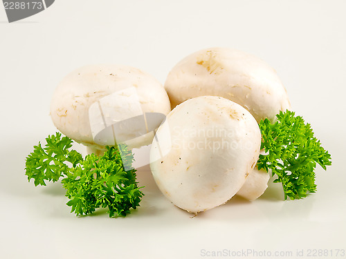Image of Champignon mushrooms and parsley