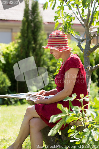 Image of Aged woman reading book