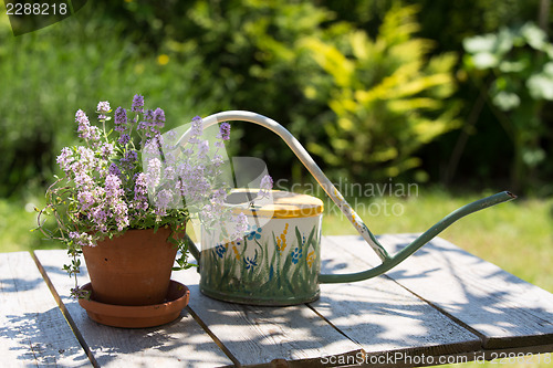 Image of Watering can and flower