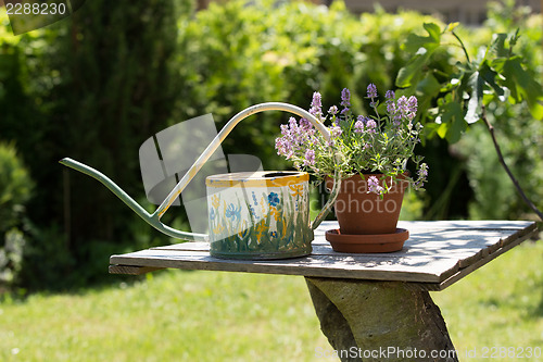 Image of Watering can and flower