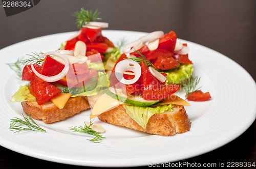 Image of Toast with vegetables