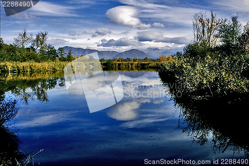 Image of marsh moor