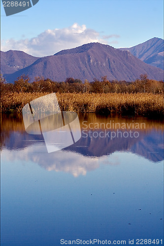 Image of  marshy  in the north of italy