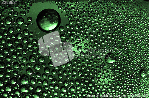 Image of abstract  green 