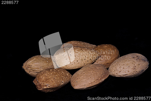 Image of almonds isolated on a black