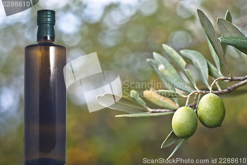 Image of Green olives and bottle